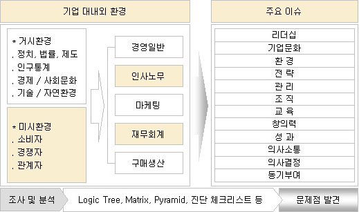 경영진단 조사 및 분석, 문제점 발견